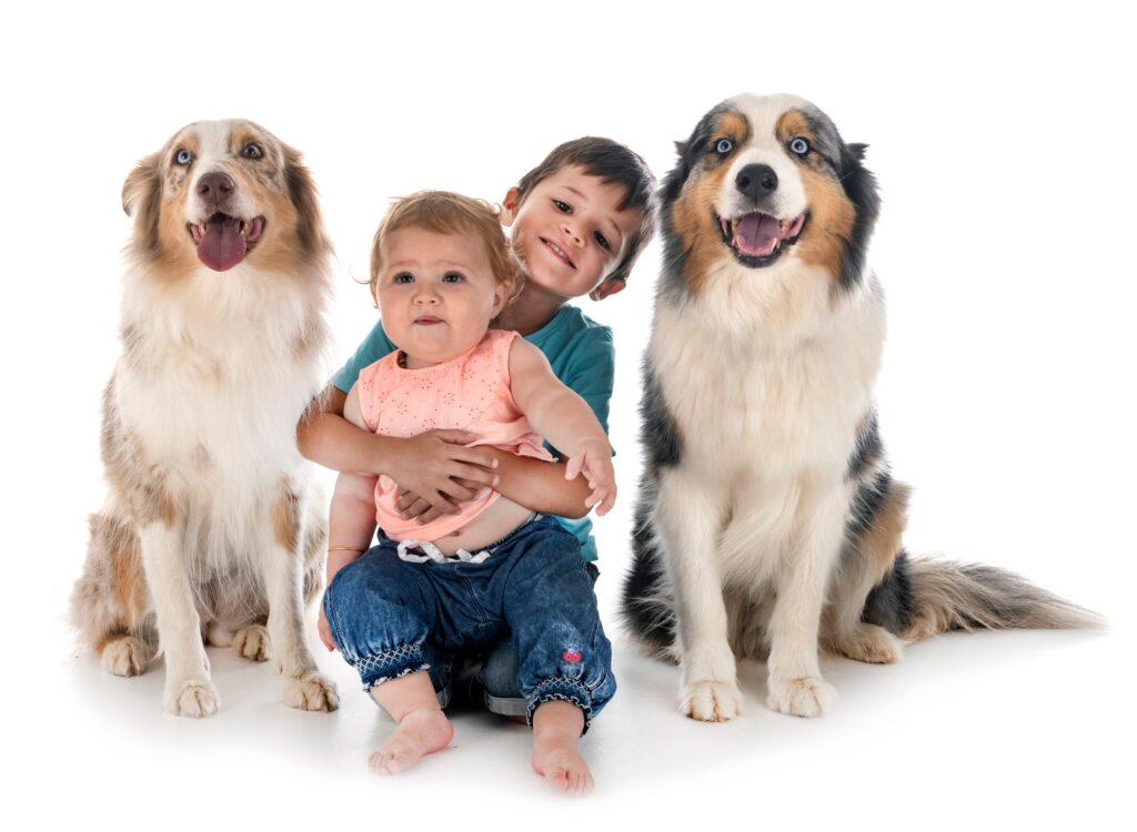 childs and dogs